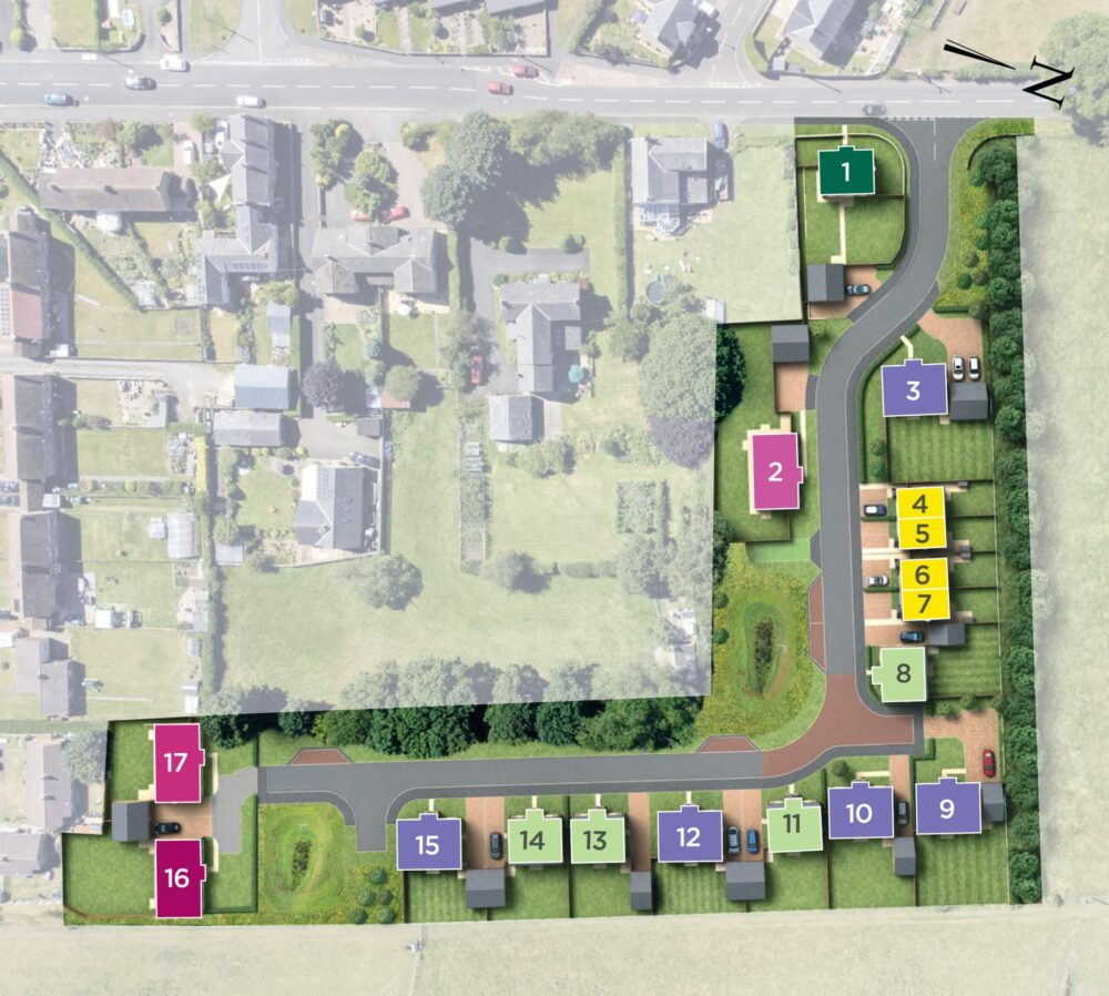 Site plan layout for this development